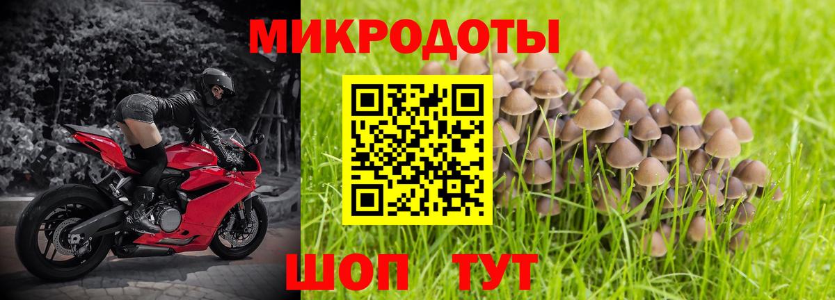 Галлюциногенные грибы прущие грибы Ржев