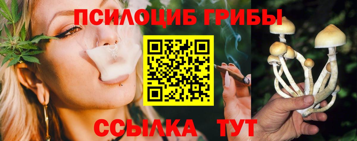 Псилоцибиновые грибы Cubensis  закладка  Ржев  Вход с VPN 