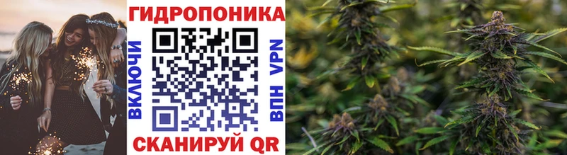 Бошки Шишки VHQ Ржев