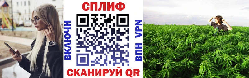 как найти наркотики  Ржев  Бошки марихуана Amnesia 