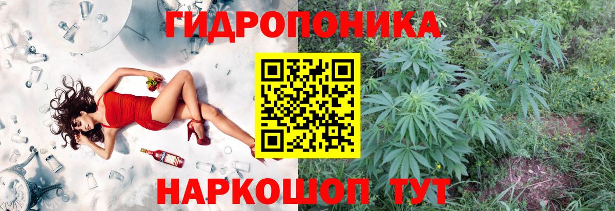Каннабис White Widow  Бошки Шишки White Widow  Вход с VPN  Ржев  Конопля планчик 